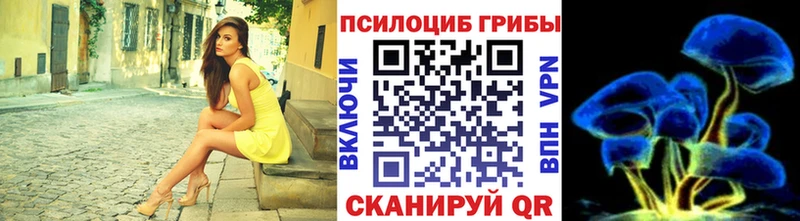 где купить Находка MEGA маркетплейс Псилоцибиновые грибы Cubensis